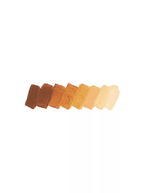 Mussini olajfesték 35ml  644 sárga Sienna