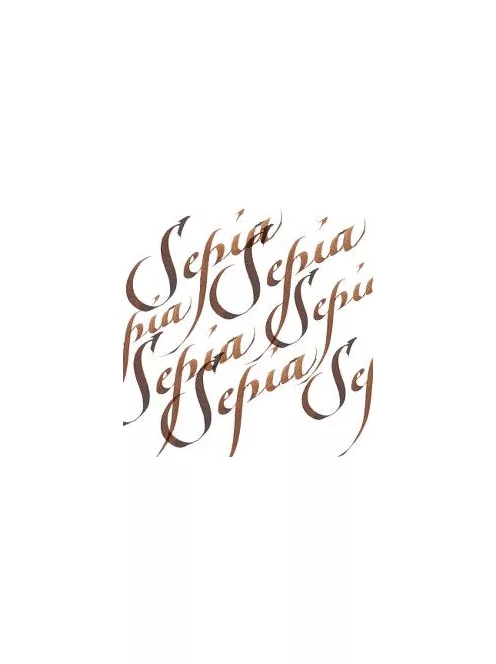 W&N kalligráfia tinta 30ml - 609 Szépia