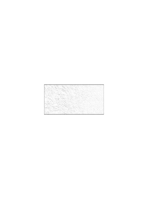 Old Holland olajfesték 40ml – 001 Titánfehér