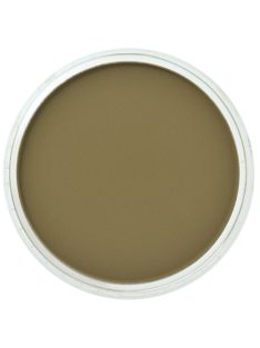 PanPastel 9ml – 270.1 Yellow Ocher Extra Dark