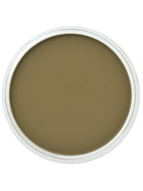 PanPastel 9ml – 270.1 Yellow Ocher Extra Dark