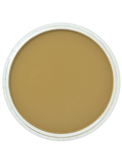 PanPastel 9ml – 270.3 Yellow Oxide Shade