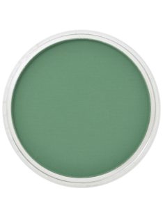 PanPastel 9ml – 640.3 Permanent Green Shade