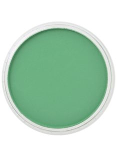 PanPastel 9ml – 640.5 Permanent Green