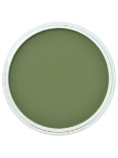 PanPastel 9ml – 660.3 Chromium Oxide Green Shade