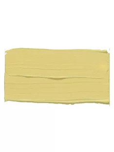 Acrylic paint PrimAcryl 60ml – 786 ivory