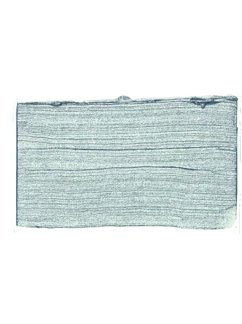 Akril festék PrimAcryl Fluid 250ml – 895 ezüst