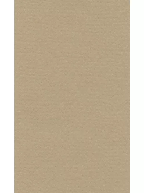 Színes papír Ropes 50x65cm - 18 oyster