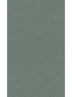 Színes papír Ropes 50x65cm - 14 sage