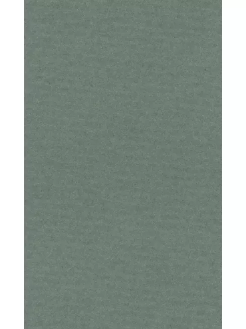 Színes papír Ropes 50x65cm - 14 sage