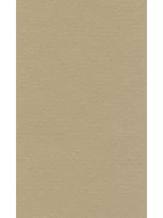 Színes papír Ropes 70x100cm - 18 oyster