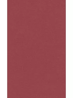 Színes papír Ropes 70x100cm – 04 red