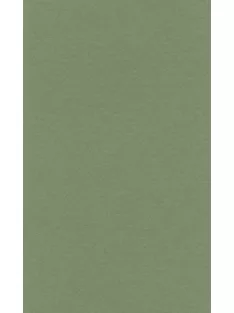 Színes papír Ropes 70x100cm – 13 sap green