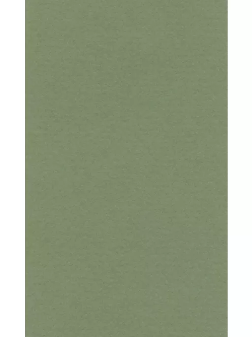 Színes papír Ropes 70x100cm – 13 sap green