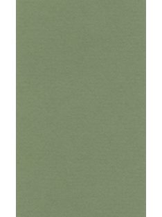 Lana színes papír A4 - 13 nedvzöld