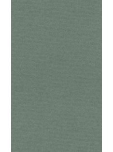 Lana színes papír A4 - 14 zsálya