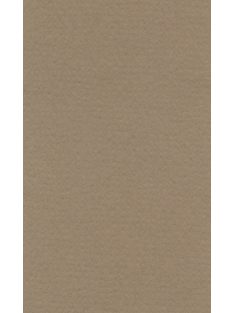 Lana színes papír A4 - 21 barna