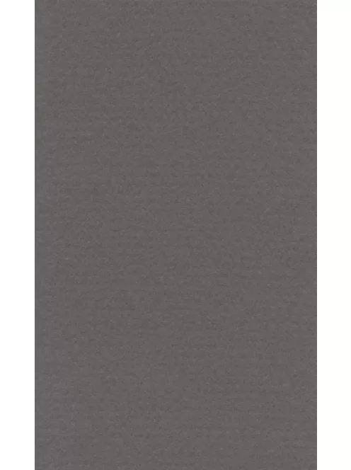 Lana colored paper A4 - 24 dark grey