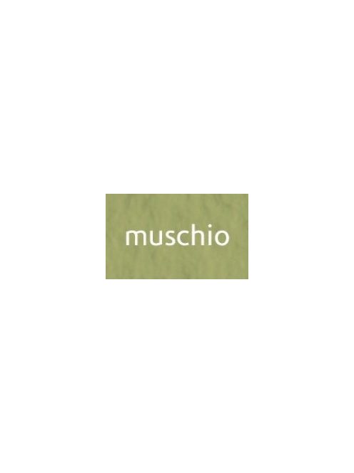 Tiziano művészi papír A4 160g - muschio
