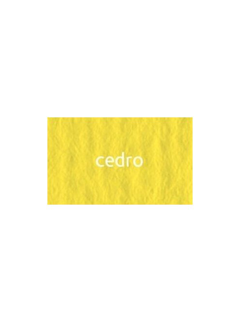 CartaCrea papír 35x50cm - cédrus