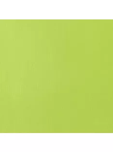   Akril festék Liquitex SB 59ml – 840 Ragyogó sárgászöld