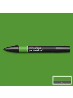Kétoldalas WN Promarker - Forrest Green (G356)