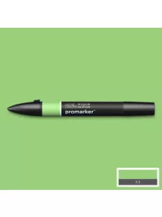 Double Sided WN Promarker - Apple (G338)