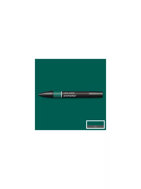Double Sided marker WN Promarker - Holly (G724)