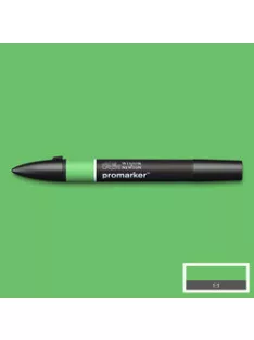 Double Sided WN Promarker - Grass (G457)