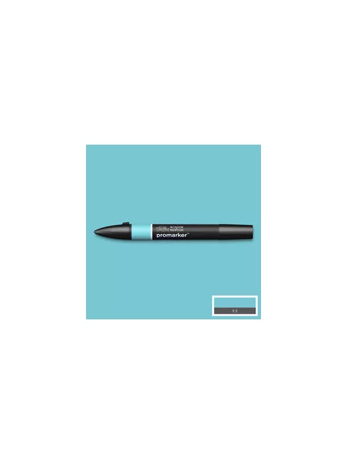 Double Sided marker WN Promarker - Duck Egg (C528)
