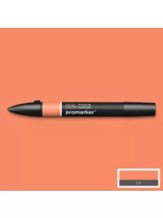 Double-sided marker WN Promarker - barack (O148)