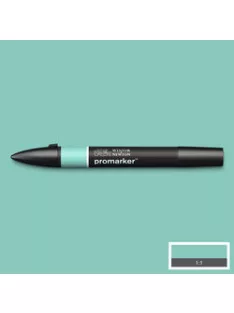 Double Sided marker WN Promarker - lágy zöld (G817)