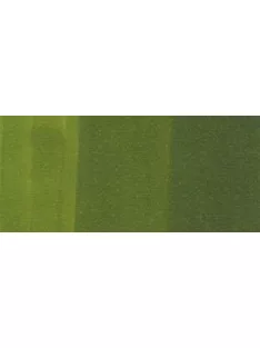 Copic sketch marker - G29 fenyőfa zöld