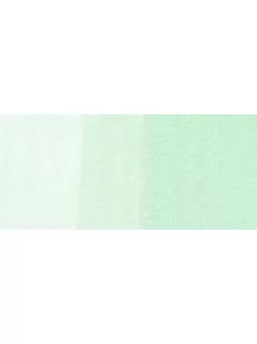Copic sketch marker - G000 pale green