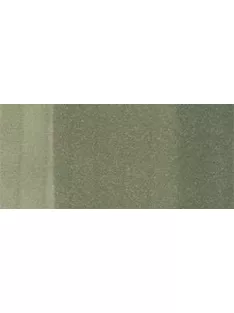 Copic sketch marker - BG93 green gray