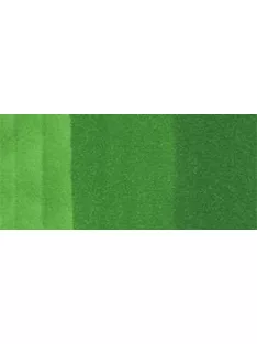 Copic sketch marker - G07 nile green