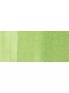 Copic sketch marker - G43 pistachio