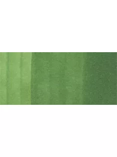 Copic Ink - YG67 Moss