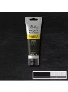 Acrylic paint Galeria 250ml – 331 ivory black