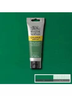 Akril paint Galeria 500ml – 484 permanent green medium