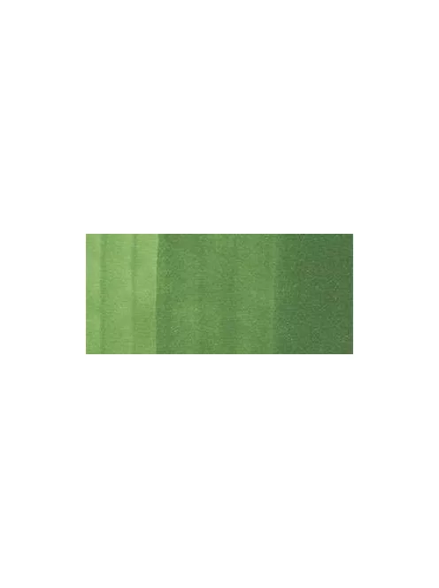 Copic Ciao marker  YG67 Moss