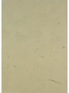 Handmade paper PV354/C01 – 50x75cm