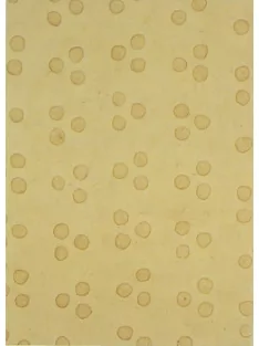Handmade paper PV354/C03A – 50x75cm