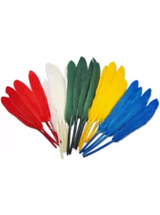 Feathers 30 cm 12pcs