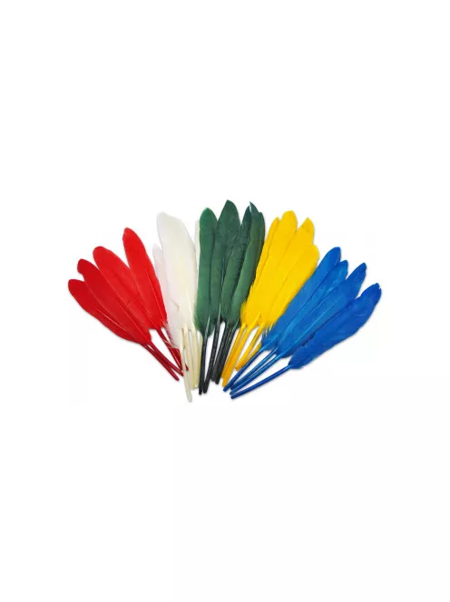 Feathers 30 cm 12pcs