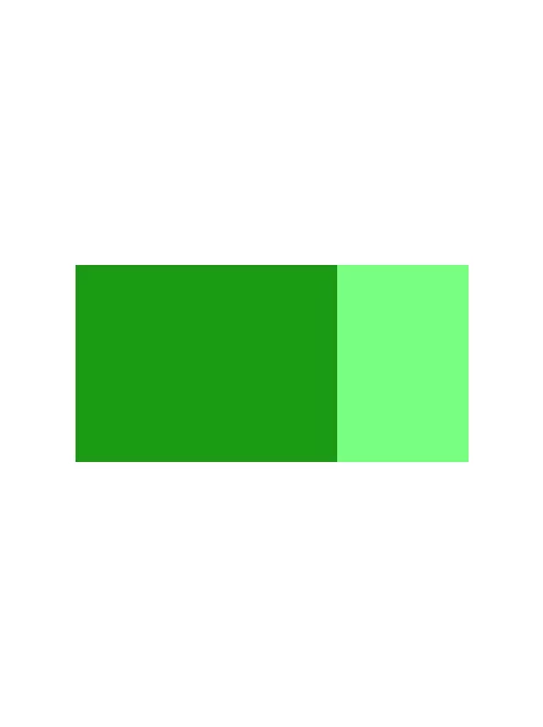 Gouache festék Schmincke 20ml  561 fir green