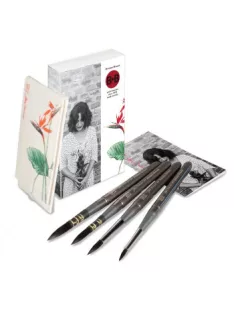 Silvia Molnari Travel Watercolor Brush Set