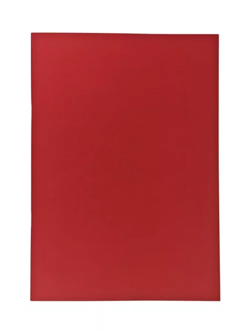 Artikon Studio Drawing Pad 90g A5  Rosso