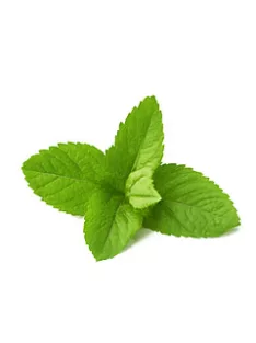 Gyertya illat 10ml – 09 Mint