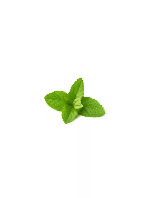Gyertya illat 10ml – 09 Mint